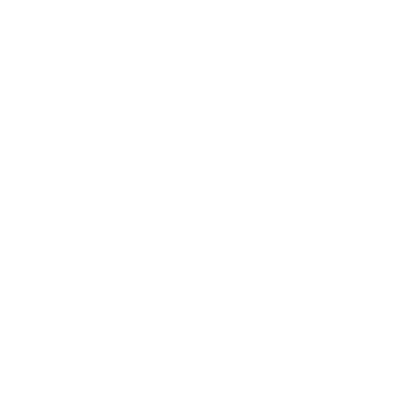 PAULO RICARDO